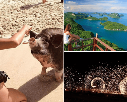 Visiting Koh Samui? You can not miss these.... cover photo collage