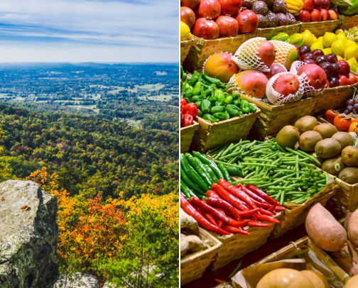 My new list cover photo collage