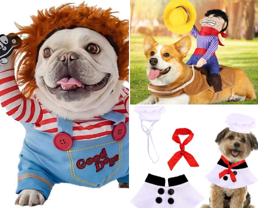 Main Character Energy: Your Dog Will Steal the Show with These Dog Costumes cover photo collage