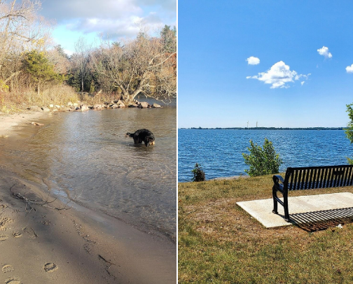 Vitamin Sea: Ontario Canada Edition cover photo collage