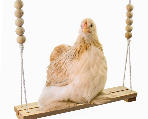 Masterlist for Poultry supplies from chickens to peacocks cover photo collage