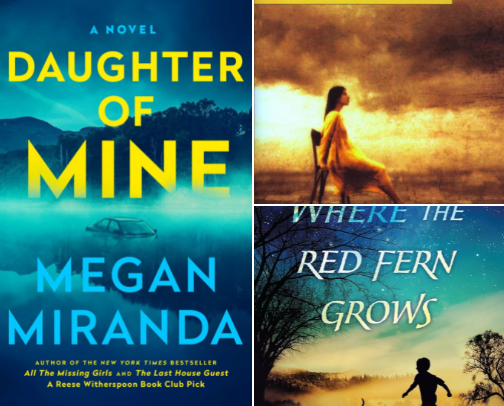 Book Recommendations cover photo collage