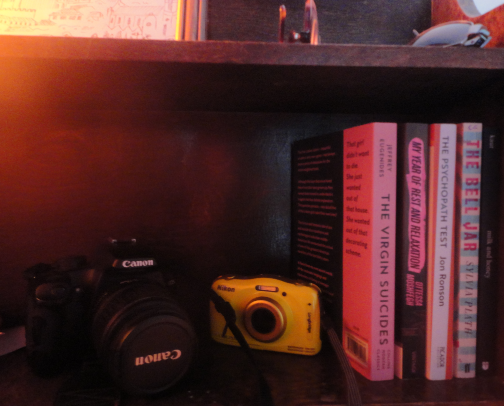 A book lover's guide to happiness cover photo collage