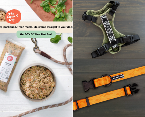 Dog Supplies for a Happy, Healthy pup! cover photo collage
