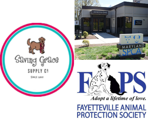 Looking To Foster Or Adopt A Pet? Here's My Fav Rescues 🐶🐾🤎 cover photo collage