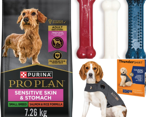 Who's a Good Boy? 🐶 | New Dog Essentials cover photo collage