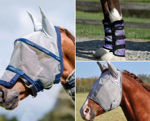 Equine Essentials cover photo collage