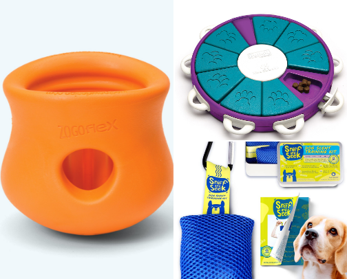 Enrichment essentials for dogs cover photo collage