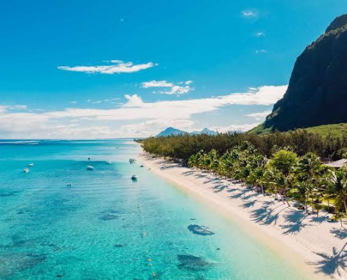 What to Wear to a Tropical Dinner cover photo collage