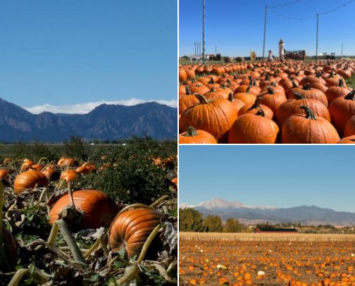 Fall Activities in Colorado! cover photo collage