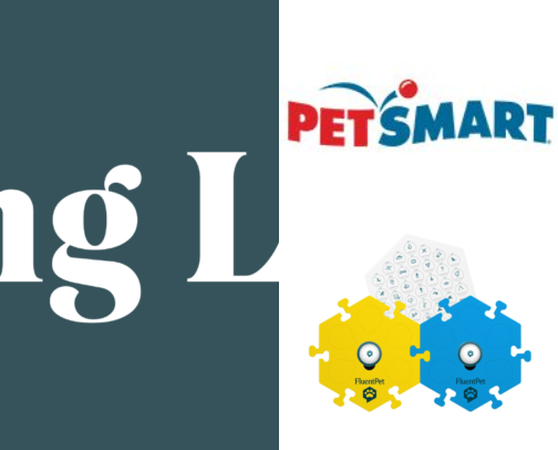 Dog Toys, Walking & Mealtime Essentials | Finley’s Finds cover photo collage
