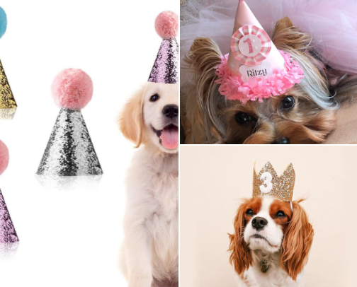 Pet Birthday Party Supplies: cover photo collage
