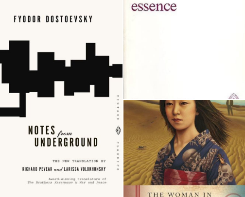 Short Philosophical Novels for Busy Readers cover photo collage