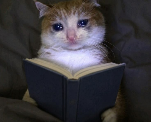 Books That Will Emotionally RUIN You 😭 cover photo collage
