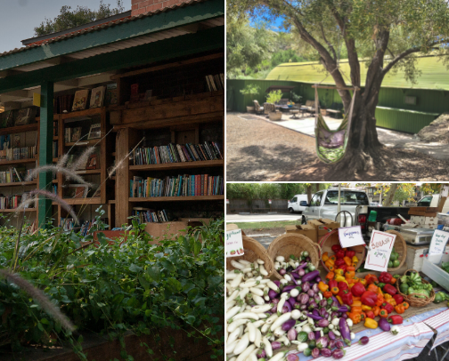 Ojai, California: Where Citrus Meets Soul cover photo collage