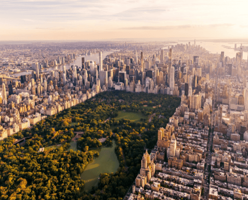 What To Do In New York cover photo collage