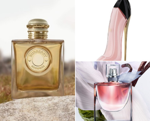 My most complimented and loved perfumes 🤭 cover photo collage