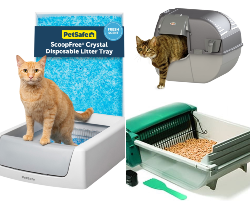 I Bought a Self Cleaning Litter Box and Got 20 Minutes Back Every Day cover photo collage