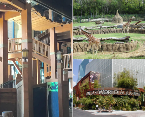 Little Feet, Big Fun: DFW Edition cover photo collage