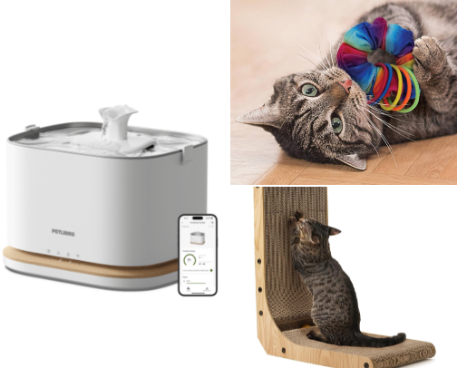 Essential items to become a thriving cat pawparent 🐱 cover photo collage