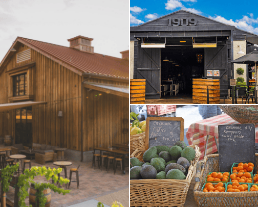 Temecula CA cover photo collage