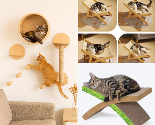 List of all my favourite Amazon finds essential for cat owners💕 cover photo collage