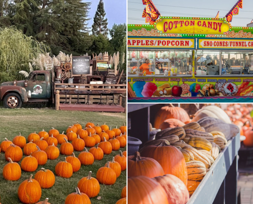 Best Pumpkin Patches In Northern CA cover photo collage