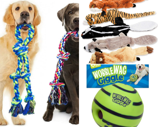 Pets cover photo collage