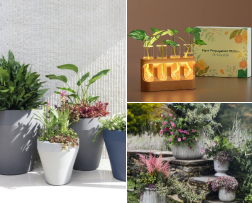 My Plants are My Best Friends cover photo collage
