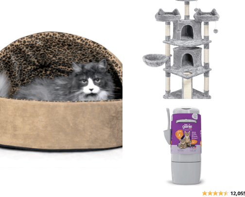 All things cat cover photo collage