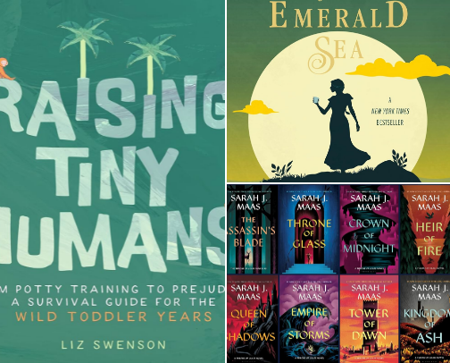 Books I Could Not Put Down 📚 cover photo collage