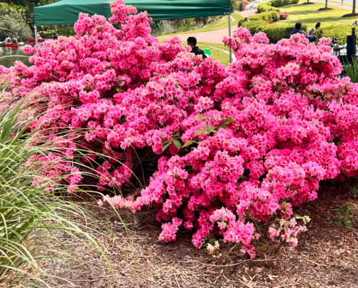 The most FLAWLESS makeup routine cover photo collage