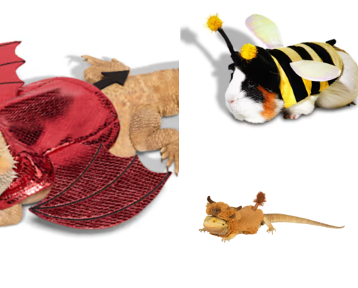 Halloween Costumes 🎃 cover photo collage