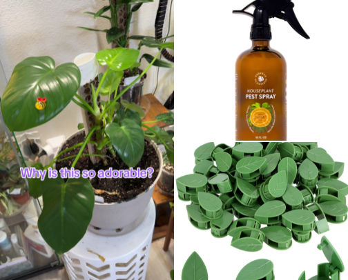 Houseplant Supplies That Made Me Feel Like I Knew What I Was Doing cover photo collage