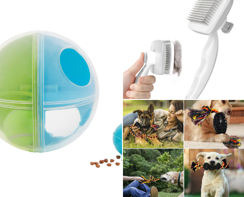 all for dogs cover photo collage
