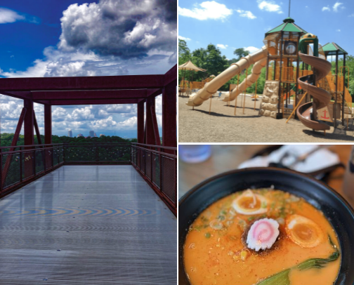 NC Places to Frequent cover photo collage