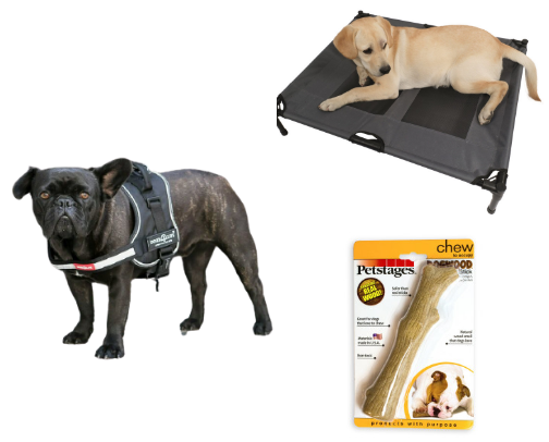Best Starter Items for Dog Owners cover photo collage