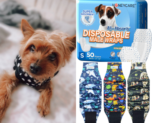 senior dog things cover photo collage