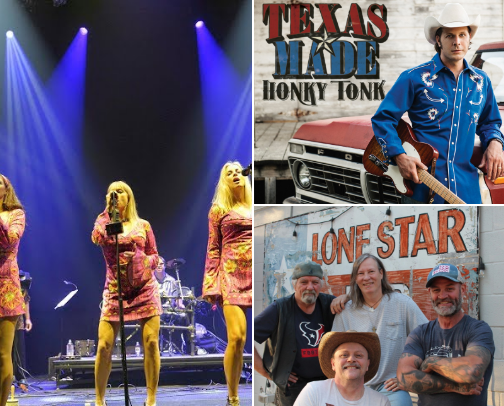 Live Entertainment cover photo collage