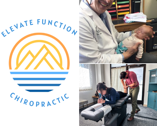 Chiropractors in Whatcom/ Skagit County cover photo collage