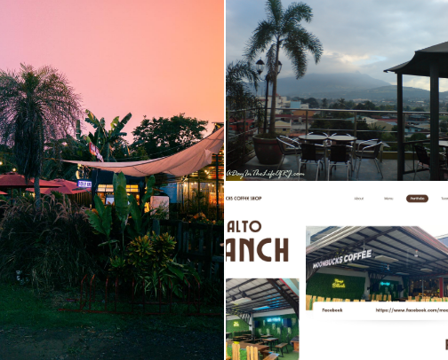 Late-Night Cafes & Chill Spots ☕ cover photo collage