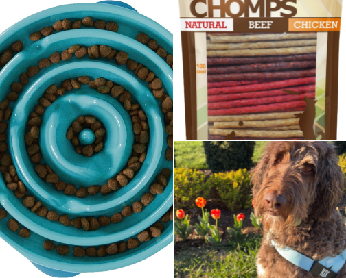 Essentials as a dog owner cover photo collage