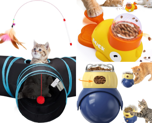 Best pet toys cover photo collage