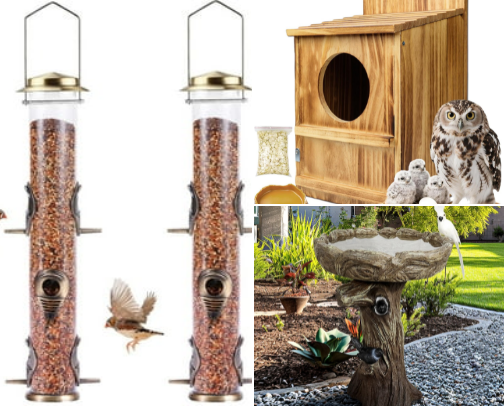 Birds and Wildlife cover photo collage