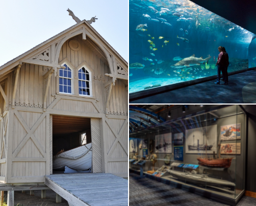 Outer Banks of North Carolina Must Do List cover photo collage