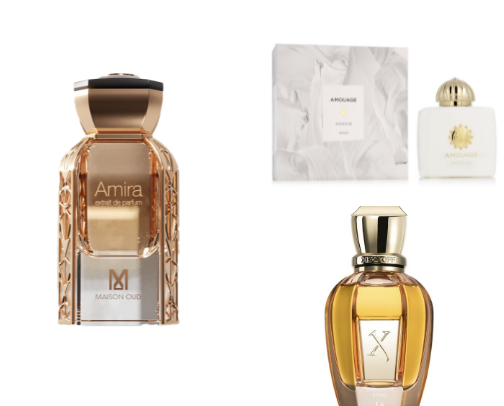5 Fragrances That Make You Smell Expensive cover photo collage