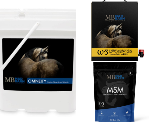 Gus nutrition cover photo collage