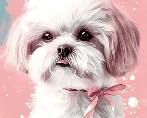 Things for dogs cover photo collage