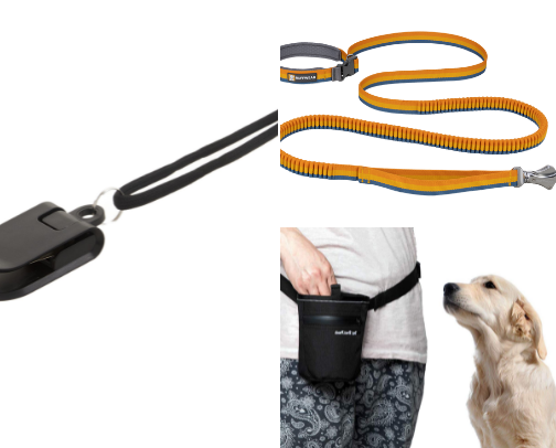 Dog Training Essentials cover photo collage