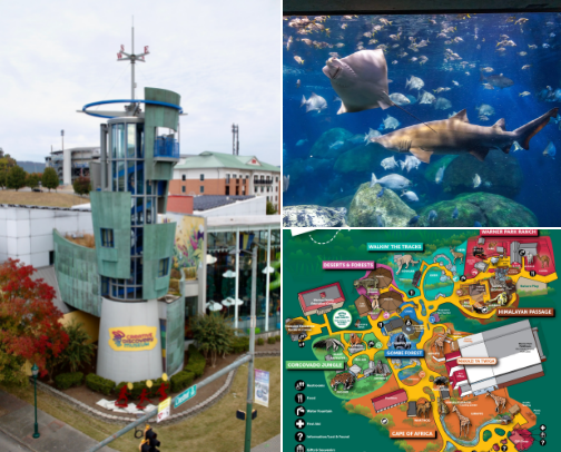 Around town cover photo collage